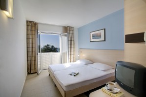 Standard double with forest view, and private facilities (shower)