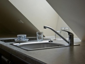 Superior double with garden view, garden, and private facilities (shower)