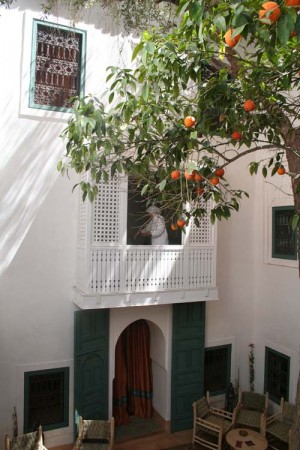 riad zitouna