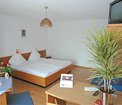 Tiptop-Hotel am Hochrhein Zum F�hrmann, Alemania, Bad S�ckingen