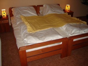 Economy single with mountain view, balcony, and private facilities (bath and shower)