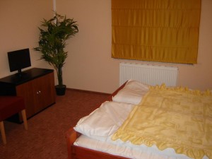 Economy double with mountain view, balcony, and private facilities (bath and shower)
