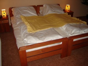 Economy triple with mountain view, balcony, and private facilities (bath and shower)