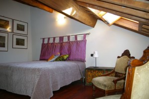 Superior double or twin with city view, king bed, and private facilities (shower)