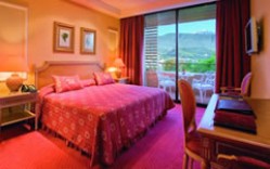 Deluxe double for single use with balcony, and private facilities