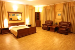 Deluxe double with garden view, king bed, and private facilities (shower)