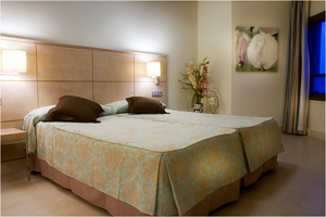Junior single with mountain view, balcony, and private facilities