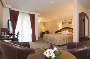 Executive double with city view, king bed, and private facilities (bath)