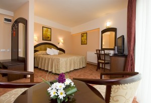 Deluxe double with city view, king bed, and private facilities (shower)
