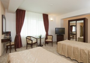 Deluxe twin with city view, balcony, and private facilities (shower)