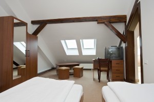 4 person economy 2 room apartment with garden view, queen bed, and private facilities (shower)