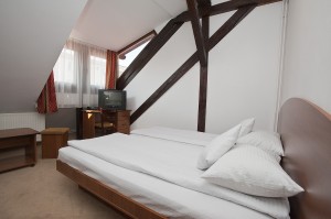 Economy double with garden view, and private facilities (shower)