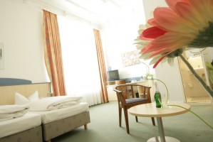 Standard double or twin with garden view, garden, and private facilities (shower)