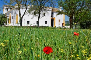 Hacienda El Santiscal, Spain, Arcos De La Frontera