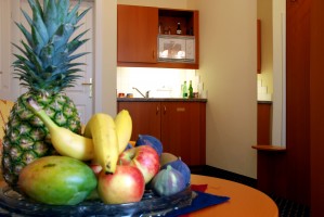 2 person junior suite with city view, king bed, and private facilities (bath)