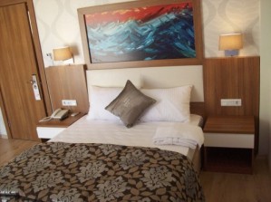 1 person suite with mountain view, terrace, and private facilities (bath and shower)