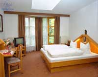 Classic double or twin with mountain view, private facilities (shower), and breakfast