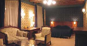 2 person executive 1 room suite with french bed, private facilities (shower), and breakfast