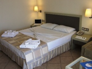 Standard double with sea view, balcony, and private facilities (bath and shower)
