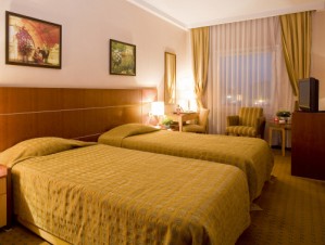 Standard single with city view, french bed, and private facilities