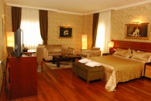 Superior double with city view, french bed, and private facilities