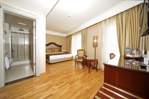 Deluxe double or twin with city view, king bed, and private facilities (bath)