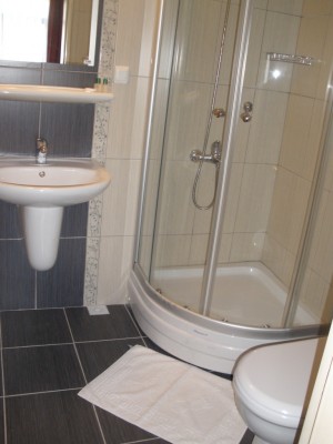 Standard double with city view, private facilities (bath and shower), and breakfast