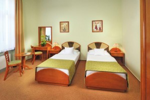 Standard twin with private facilities (bath and shower), and breakfast
