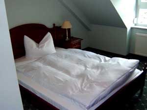 Comfort single with garden view, and private facilities (shower)