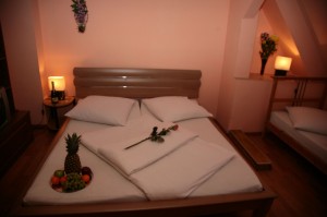 Classic triple with garden, and shared facilities
