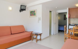 4 person standard 1 room apartment with pool view, terrace, and private facilities (bath and shower)