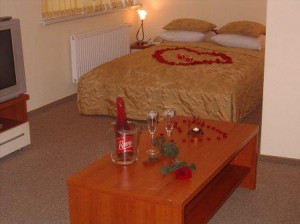 Deluxe double with garden view, balcony, and private facilities