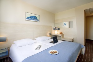 Standard double with garden view, french bed, private facilities (shower), and half board