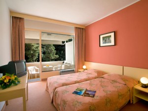 Standard double or twin and 2 children with garden view, balcony, private facilities (bath), and half board