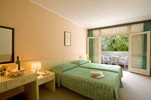 Standard twin with garden view, balcony, private facilities (bath), and half board