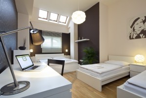 3 person executive 2 room apartment with city view, and private facilities