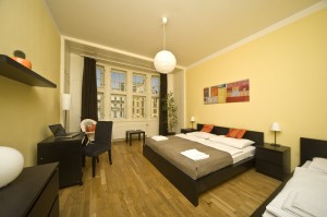 7 person comfort 4 room apartment and 2 children with private facilities