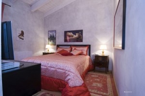 Deluxe double with garden view, garden, and private facilities (shower)