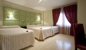 Triple room standard only room