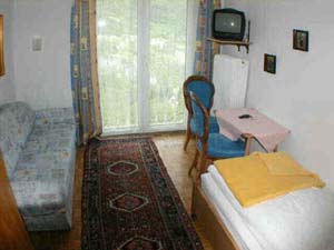 Basic single with mountain view, private facilities (shower), and breakfast