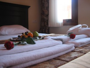Standard double with king bed, and private facilities (bath and shower)