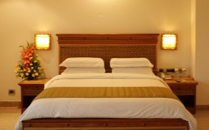 Standard 1 room single with garden view, queen bed, private facilities, and breakfast