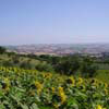 Il Sorger Del Sole, Italy, Macerata