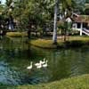Golden Waters, India, Kumarakom