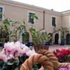 Hotel Baglio Conca d'Oro, Italy, Palermo