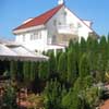 Hotel Villa IRIS, Romania, Busteni