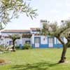 Herdade de Vale do Manantio, Portugal, Moura