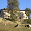 Azienda Agrituristica Il Sarale, Italy, Citta Di Castello