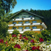 Apparthotel Montana, Austria, Bad Mitterndorf