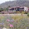 The Jewel of The Jungle, India, Khajuraho